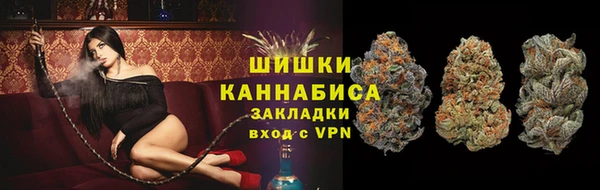 PSILOCYBIN Заволжье