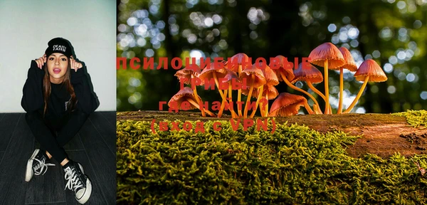PSILOCYBIN Заволжье