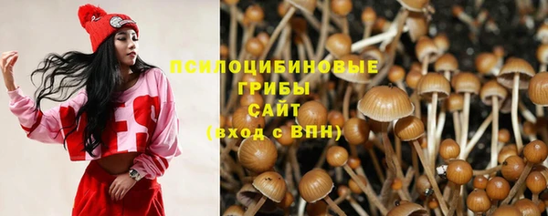 ПСИЛОЦИБИНОВЫЕ ГРИБЫ Усолье-Сибирское