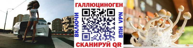 Псилоцибиновые грибы Psilocybine cubensis  Купить где  Сольцы 